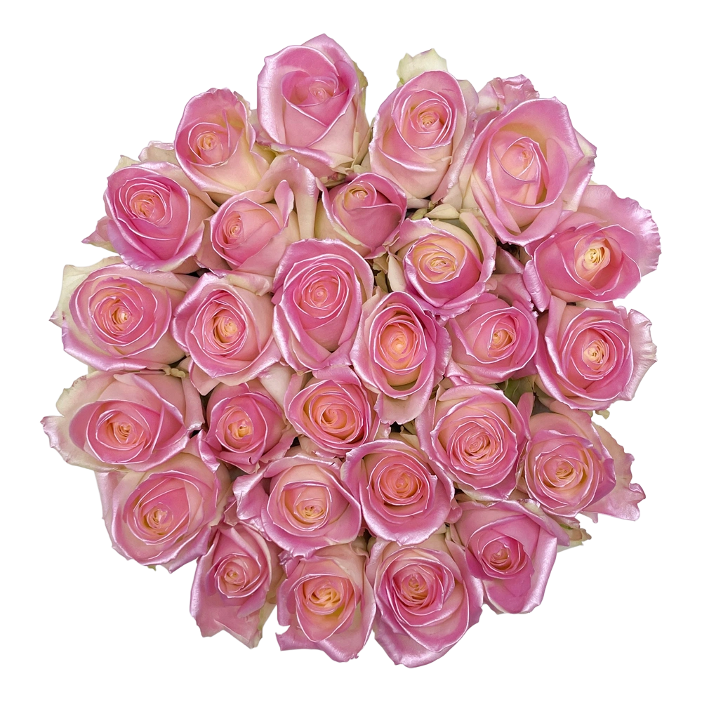 baby pink satin rozen in large round box bestellen bij maison flowers