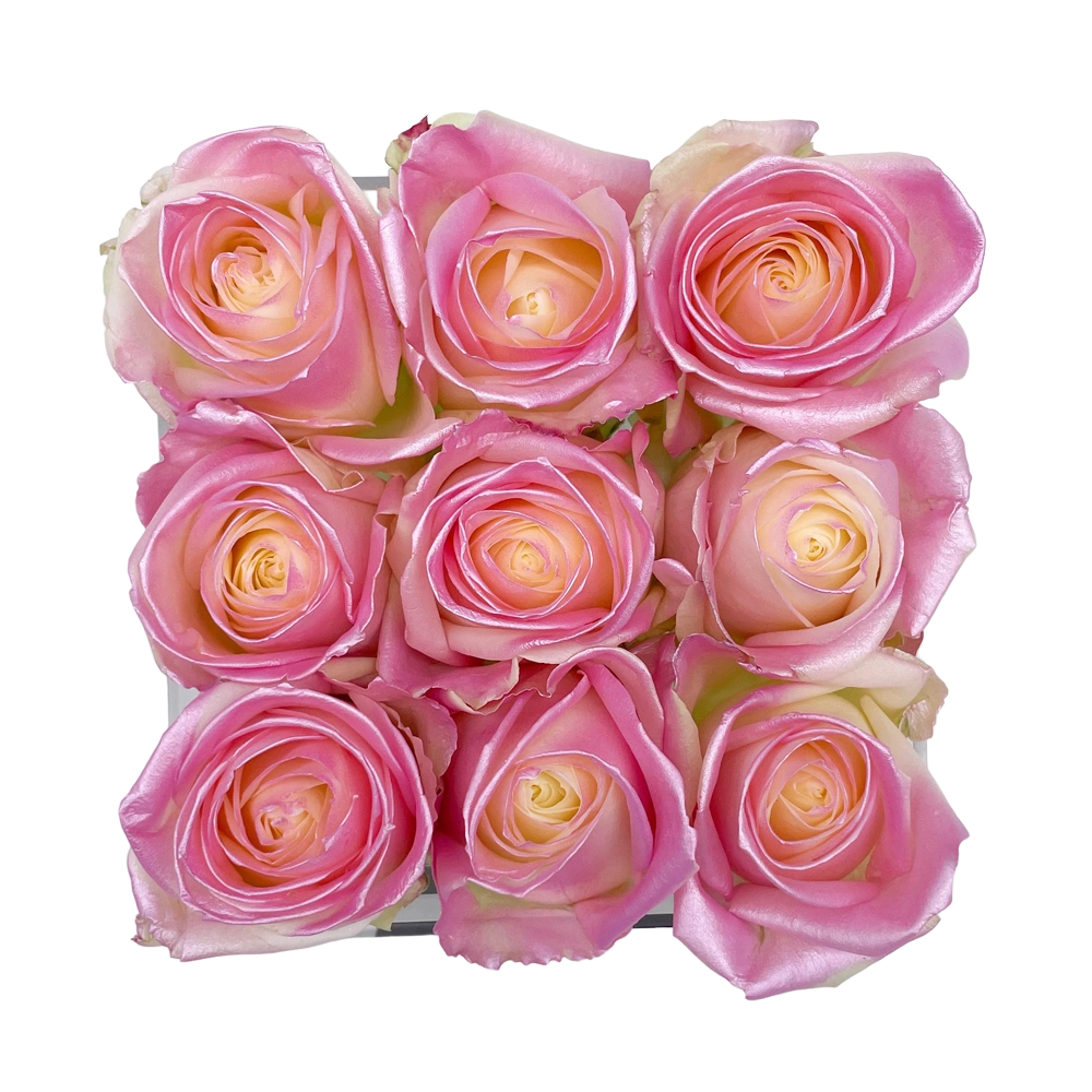baby pink satin rozen in small acrylic square box 2 bestellen bij maison flowers