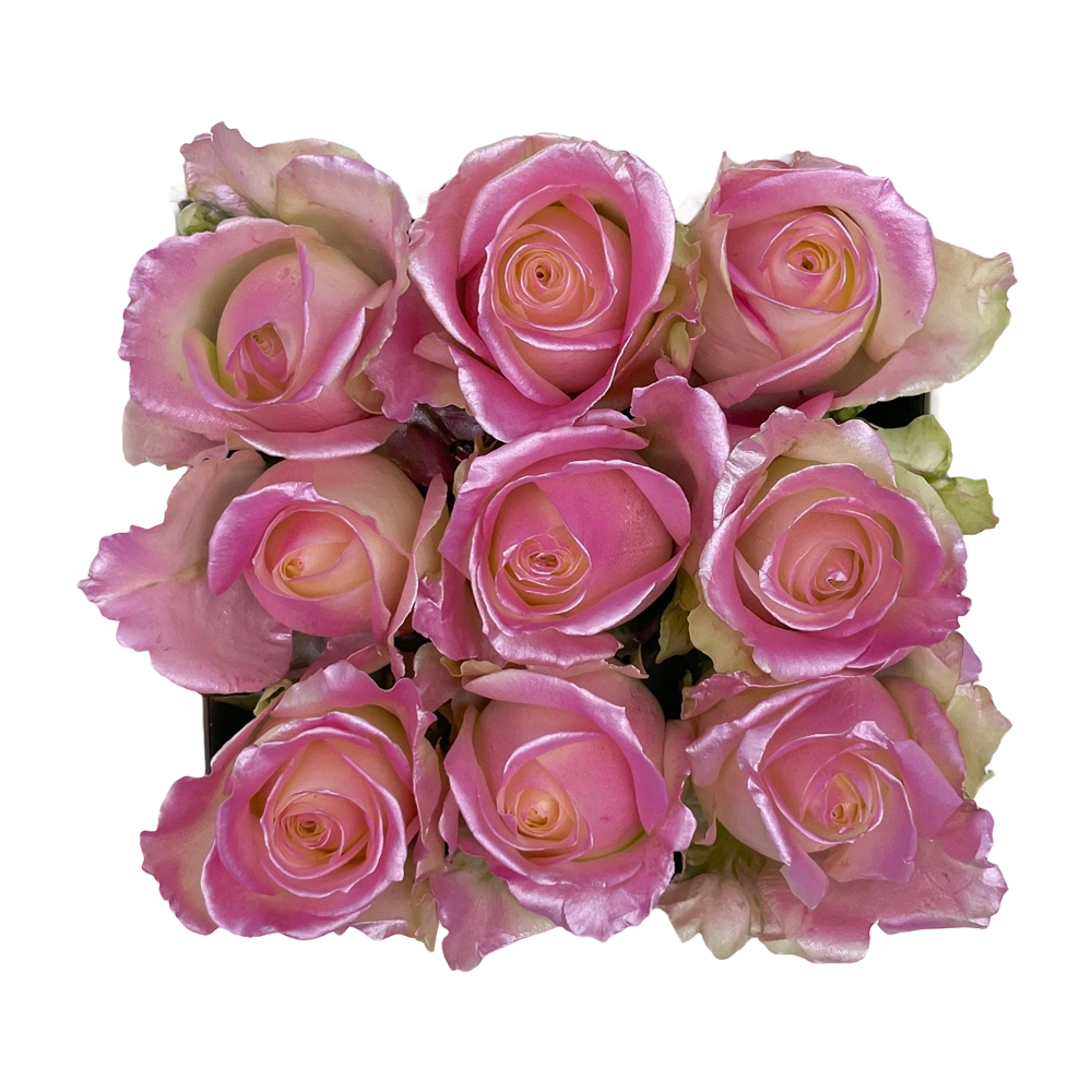 baby pink satin rozen in small square box bestellen bij maison flowers