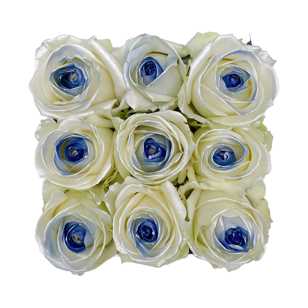 blue satin rozen in small square box bestellen bij maison flowers