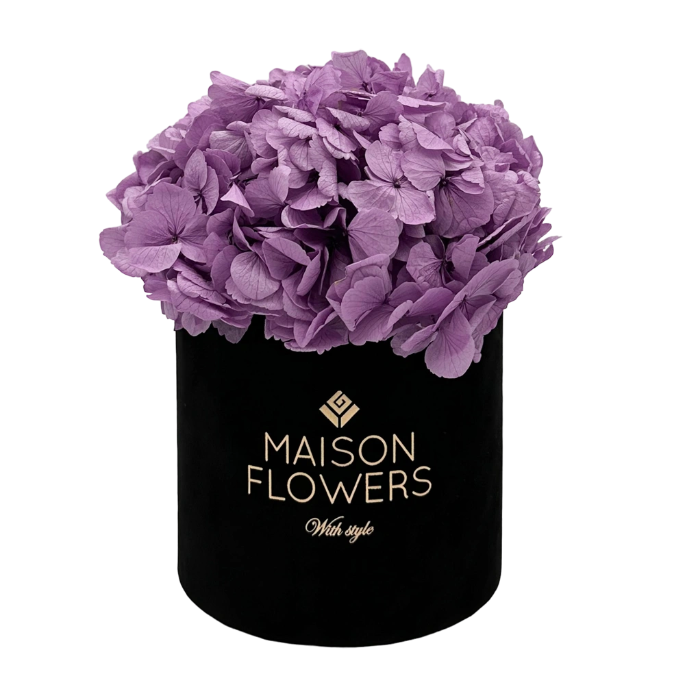 longlife hortensia lavender hydrangea small velvet round black box bestellen bij maison flowers