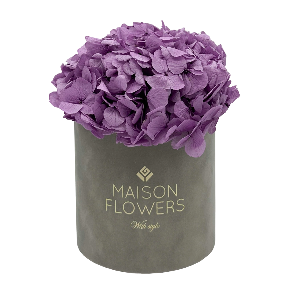 longlife hortensia lavender hydrangea small velvet round grey box bestellen bij maison flowers