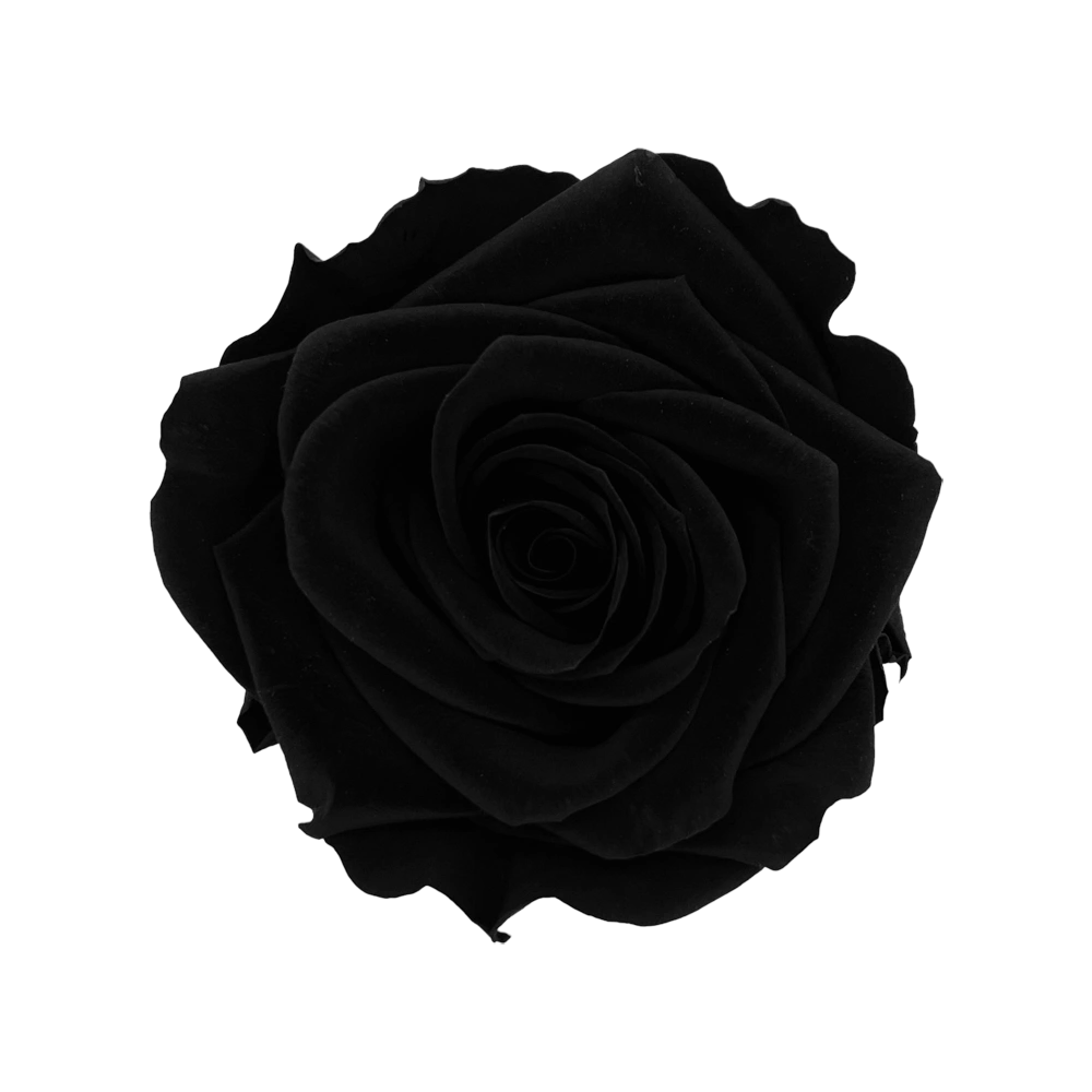 longlife rozen black mini round box bestellen bij maison flowers
