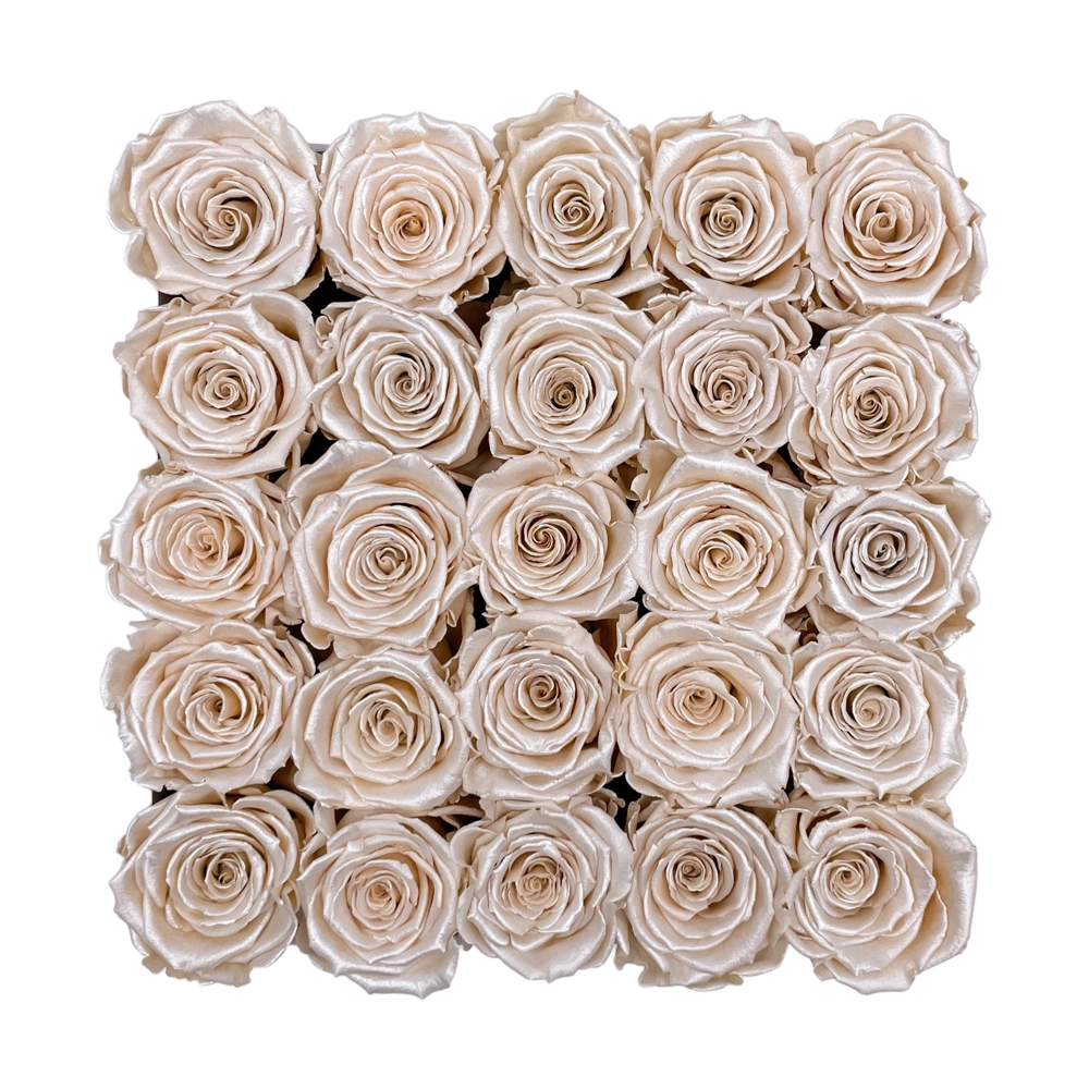 longlife rozen champagne satin rozen in large square box bestellen bij maison flowers