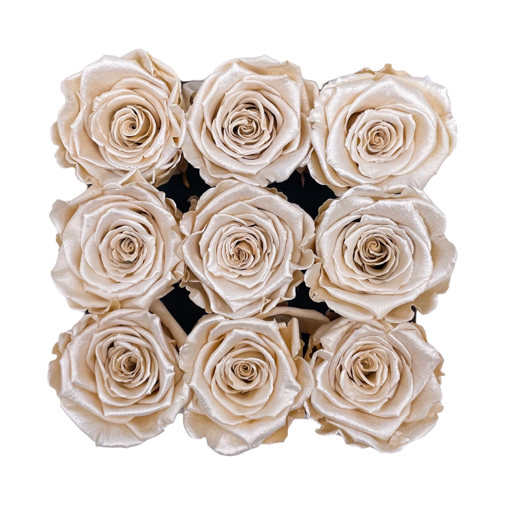 longlife rozen champagne satin rozen in small square box bestellen bij maison flowers