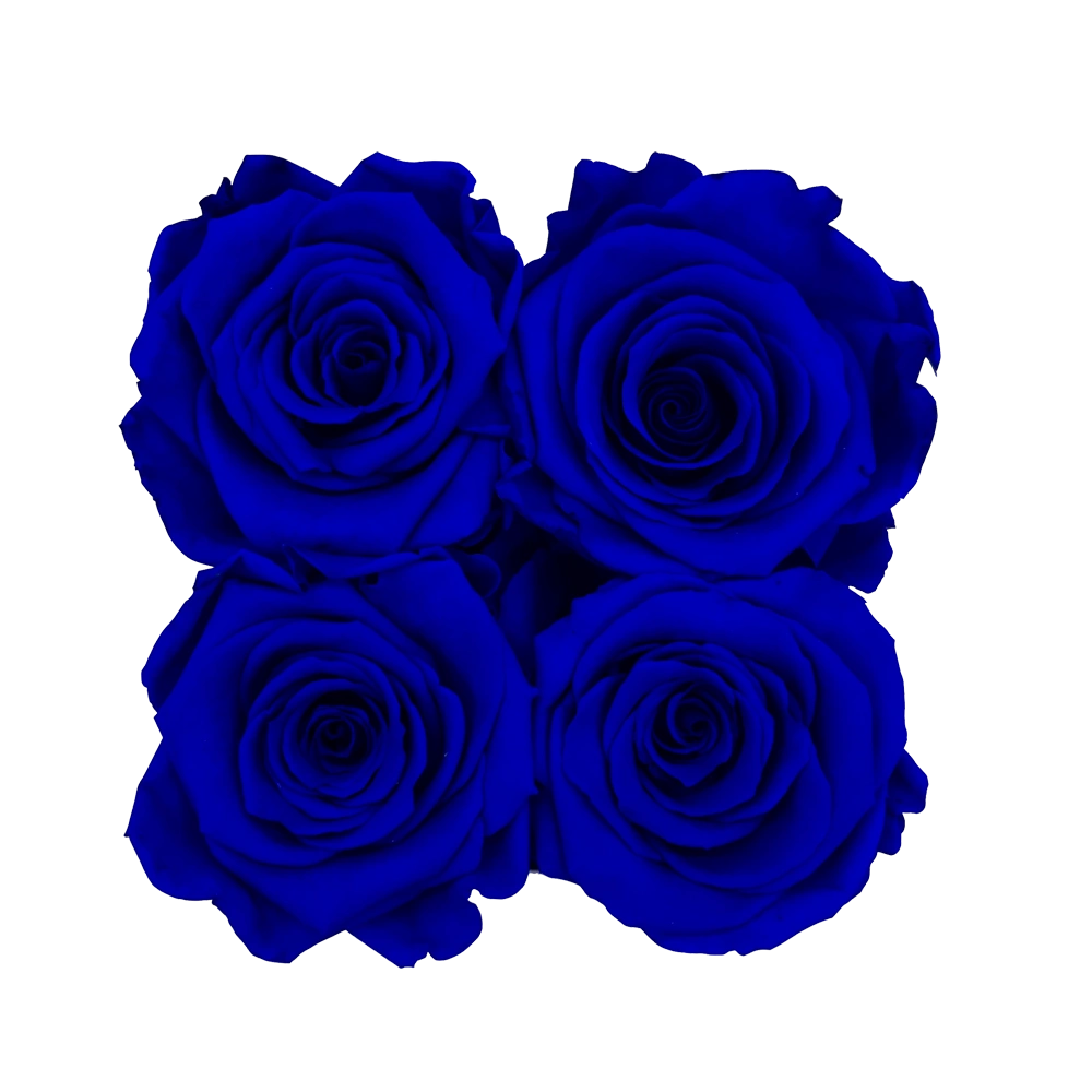 longlife rozen dark blue petite square box bestellen bij maison flowers