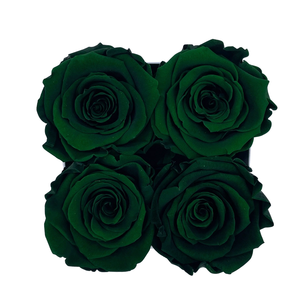 longlife rozen dark green petite square box bestellen bij maison flowers