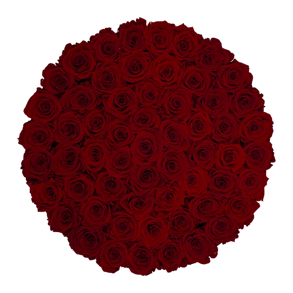 longlife rozen dark red maxi round box bestellen bij maison flowers