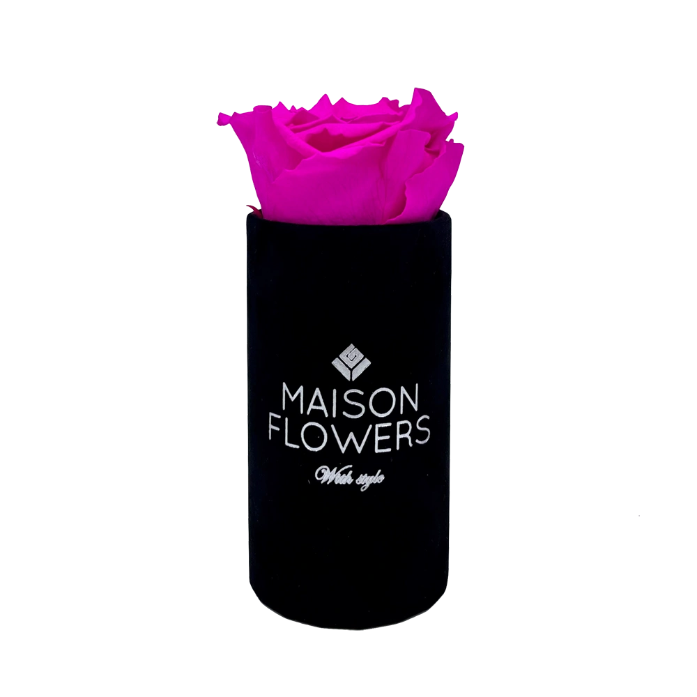 longlife rozen fuchsia baby velvet round black box bestellen bij maison flowers