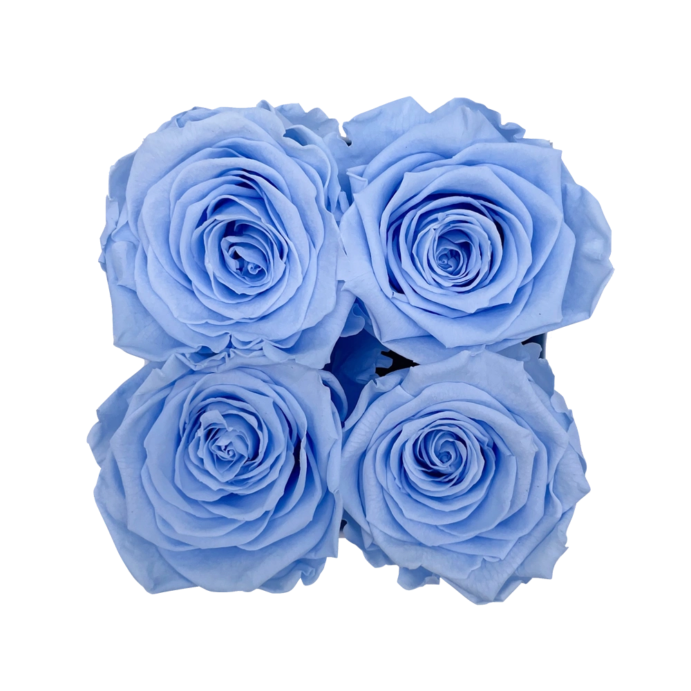 longlife rozen light blue petite square box bestellen bij maison flowers