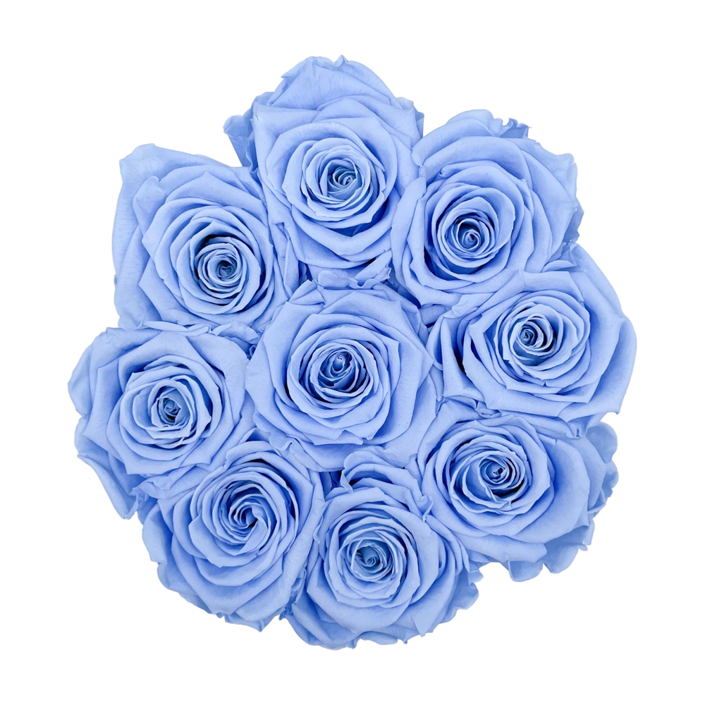 longlife rozen light blue small velvet round box bestellen bij maison flowers