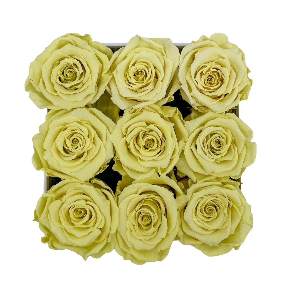 longlife rozen light yellow small square box bestellen bij maison flowers