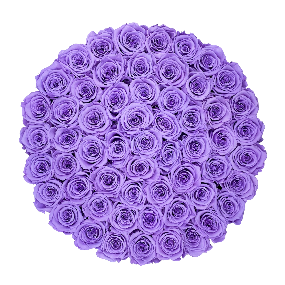 longlife rozen lilac maxi round box bestellen bij maison flowers