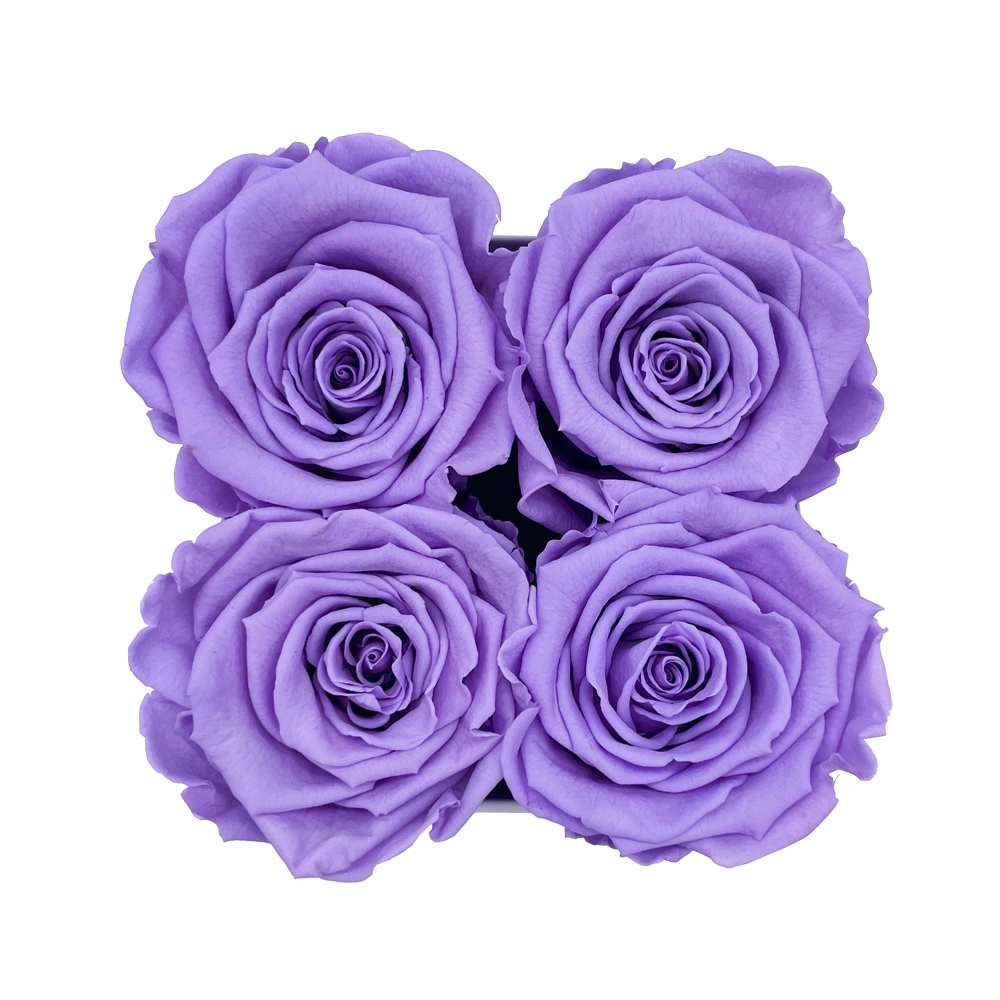 longlife rozen lilac petite square box bestellen bij maison flowers