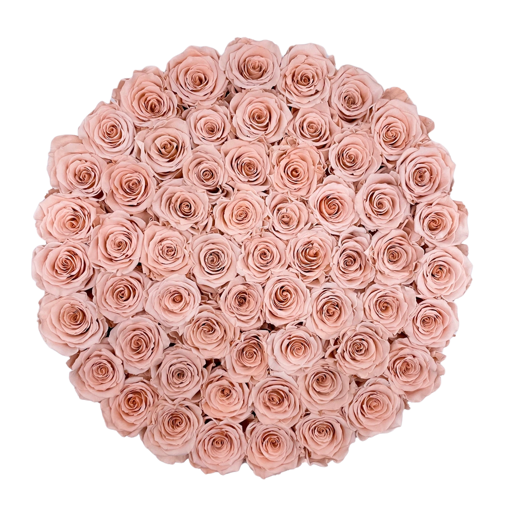 longlife rozen peach maxi round box bestellen bij maison flowers
