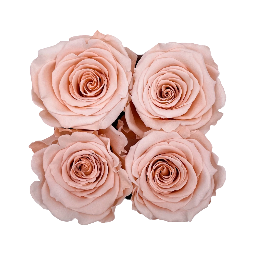 longlife rozen peach petite square box bestellen bij maison flowers
