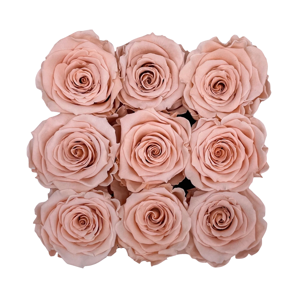 longlife rozen peach small square box bestellen bij maison flowers