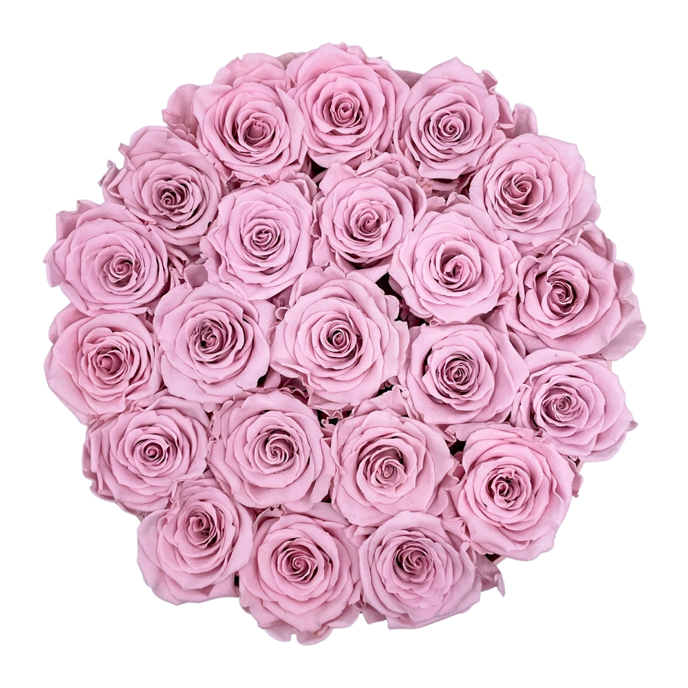 longlife rozen pink large round box bestellen bij maison flowers