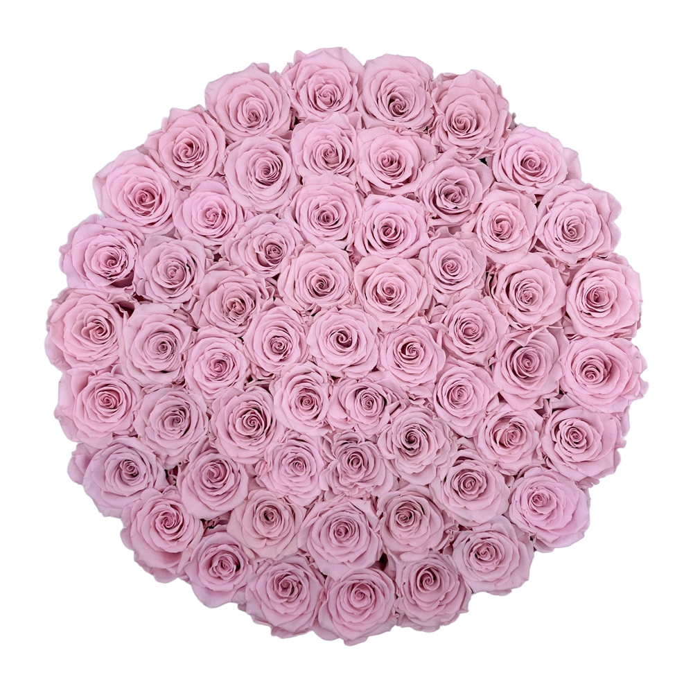 longlife rozen pink maxi round box bestellen bij maison flowers