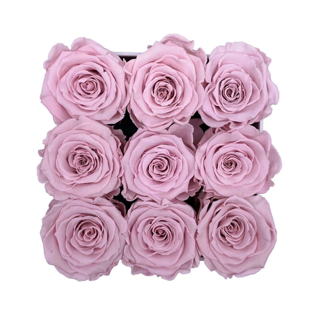 longlife rozen pink small square box bestellen bij maison flowers