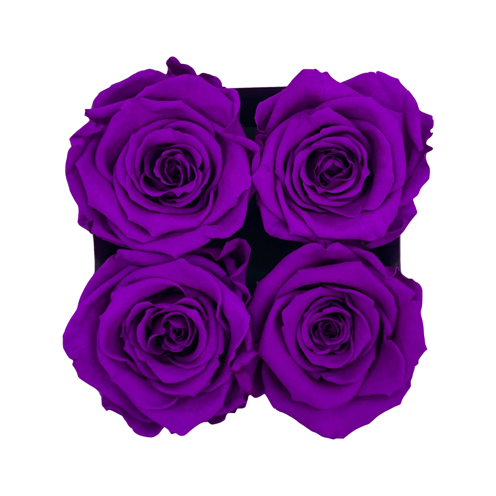 longlife rozen purple petite square box bestellen bij maison flowers