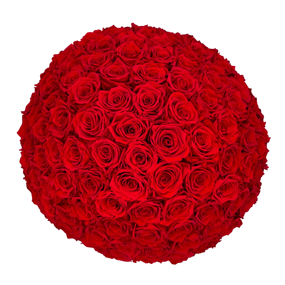 longlife rozen red exclusive maxi round box bestellen bij maison flowers