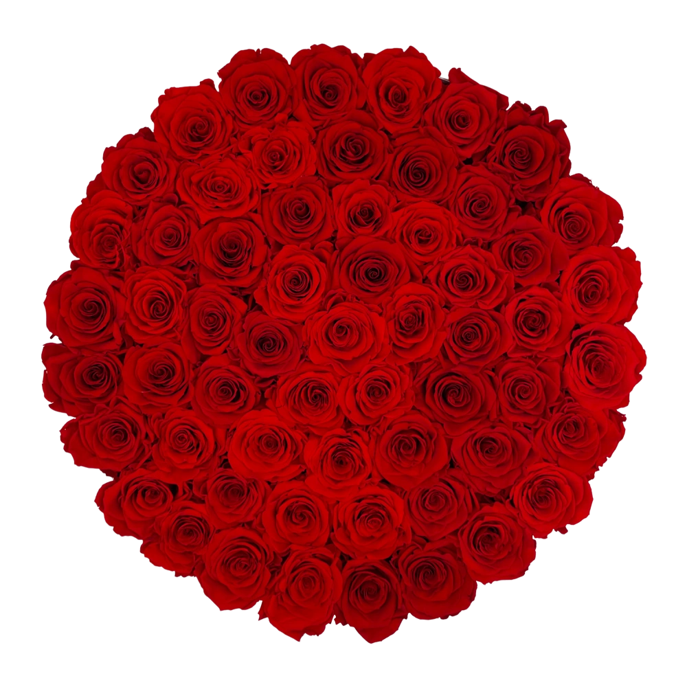 longlife rozen red maxi round box bestellen bij maison flowers
