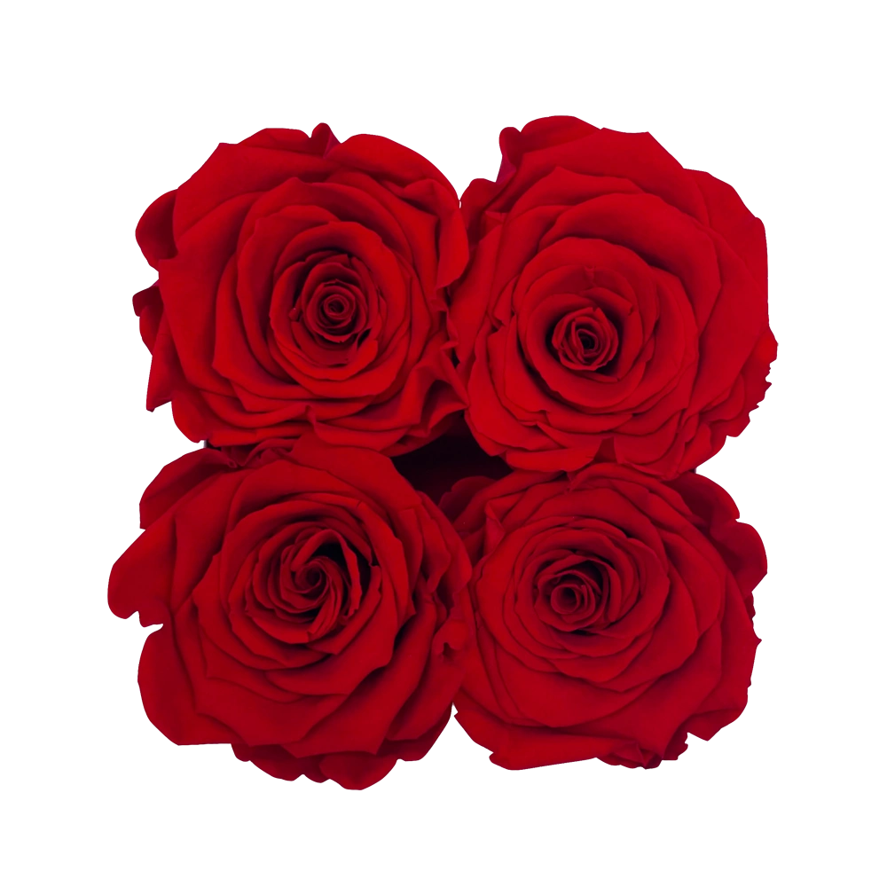 longlife rozen red petite square box bestellen bij maison flowers