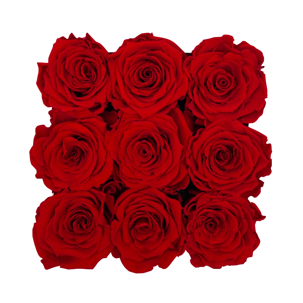 longlife rozen red small square box bestellen bij maison flowers
