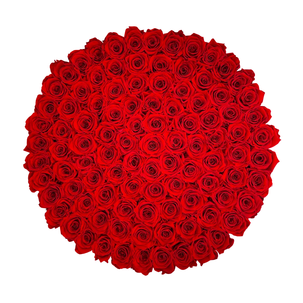 longlife rozen red the 100 round box 2 bestellen bij maison flowers