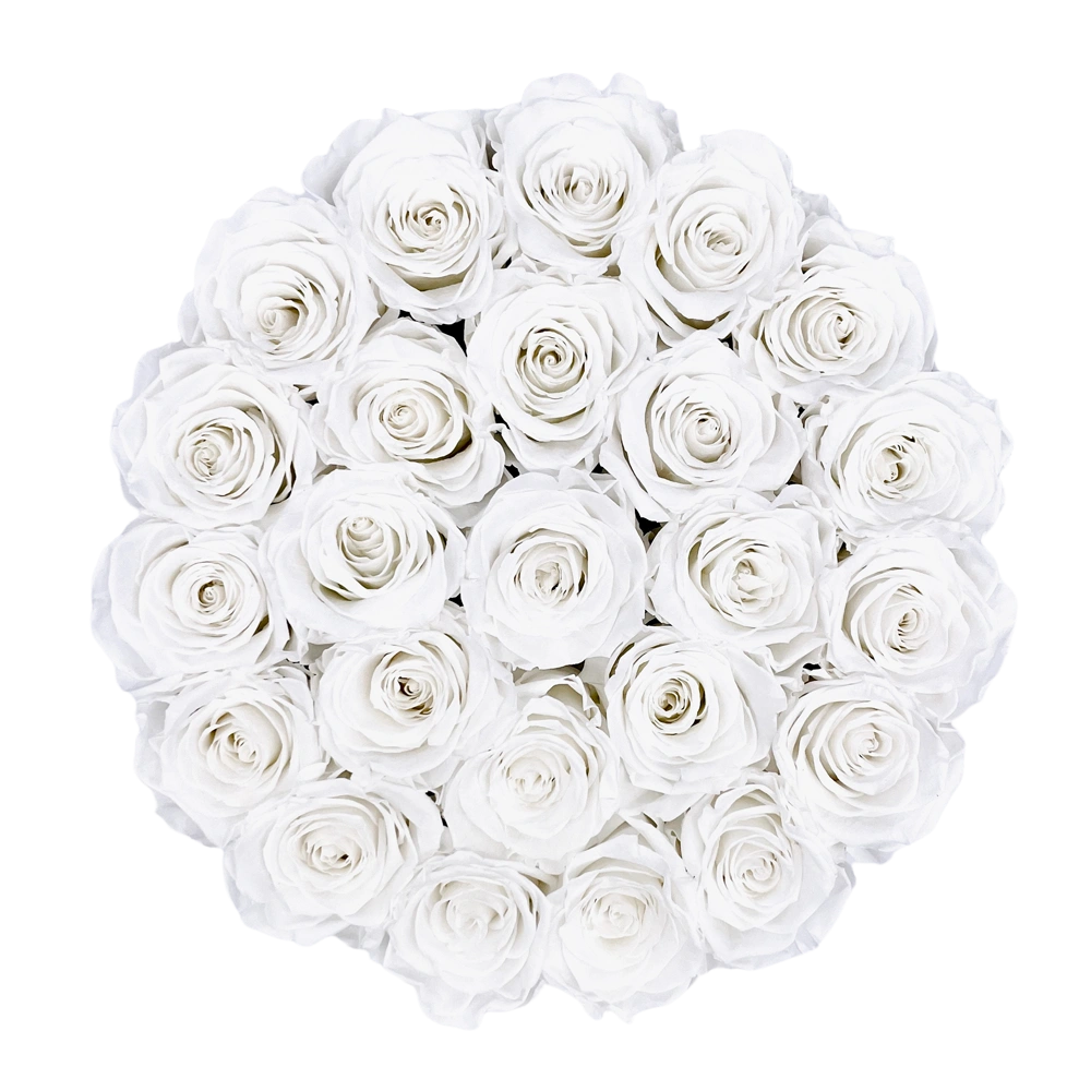 longlife rozen white large round box bestellen bij maison flowers