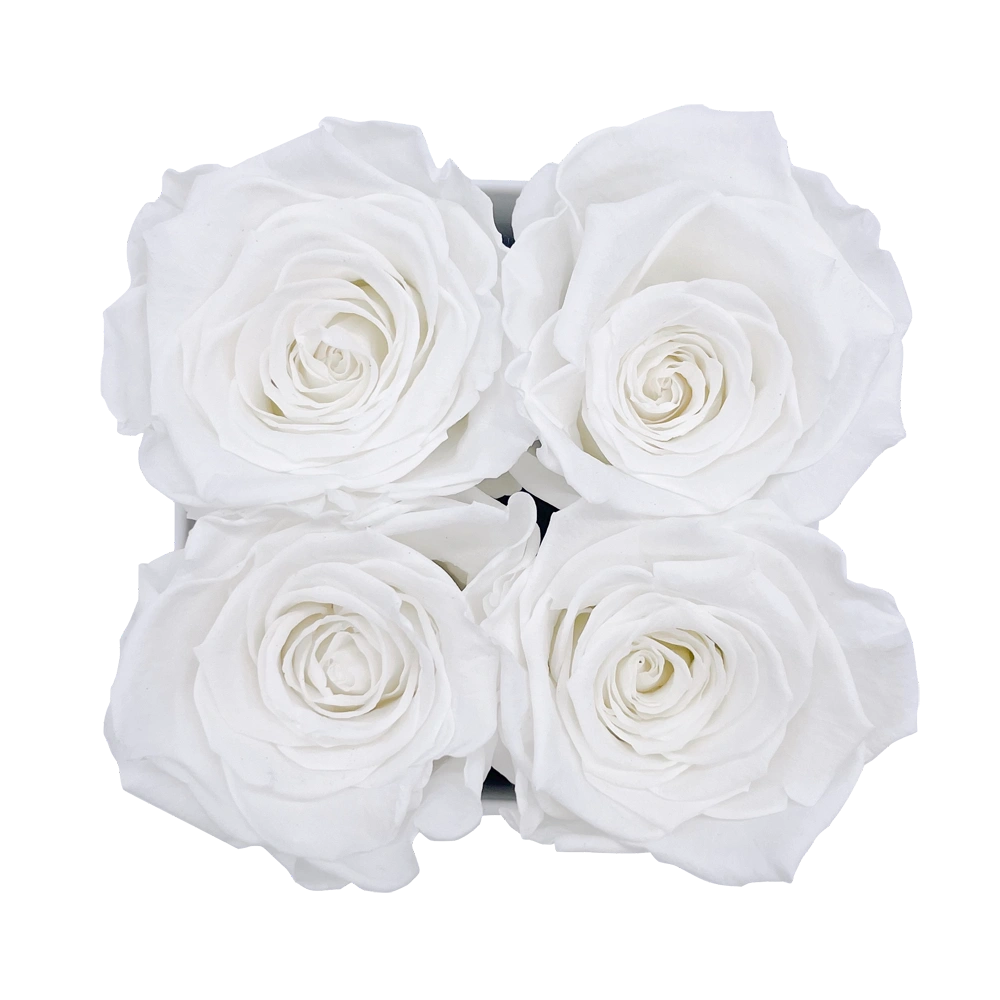 longlife rozen white petite square box bestellen bij maison flowers