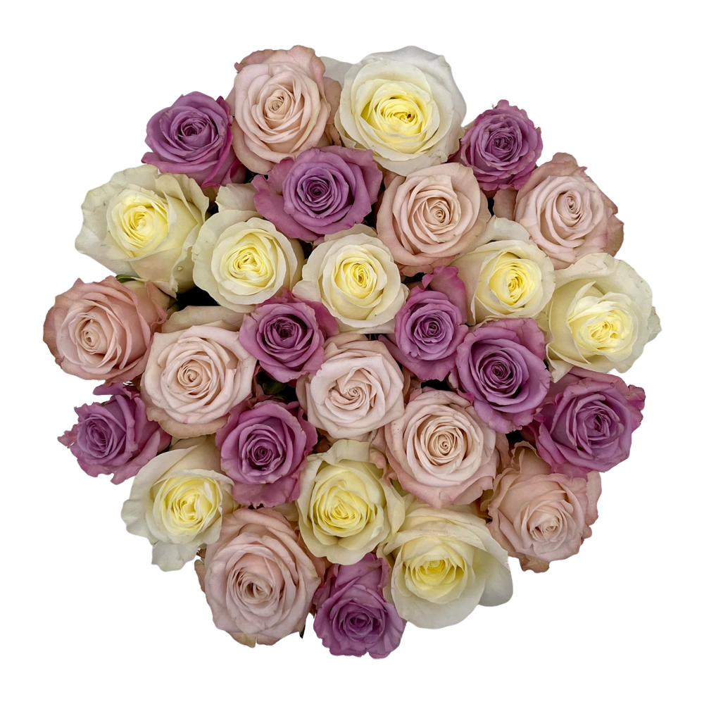 pastel mix rozen in large round box bestellen bij maison flowers