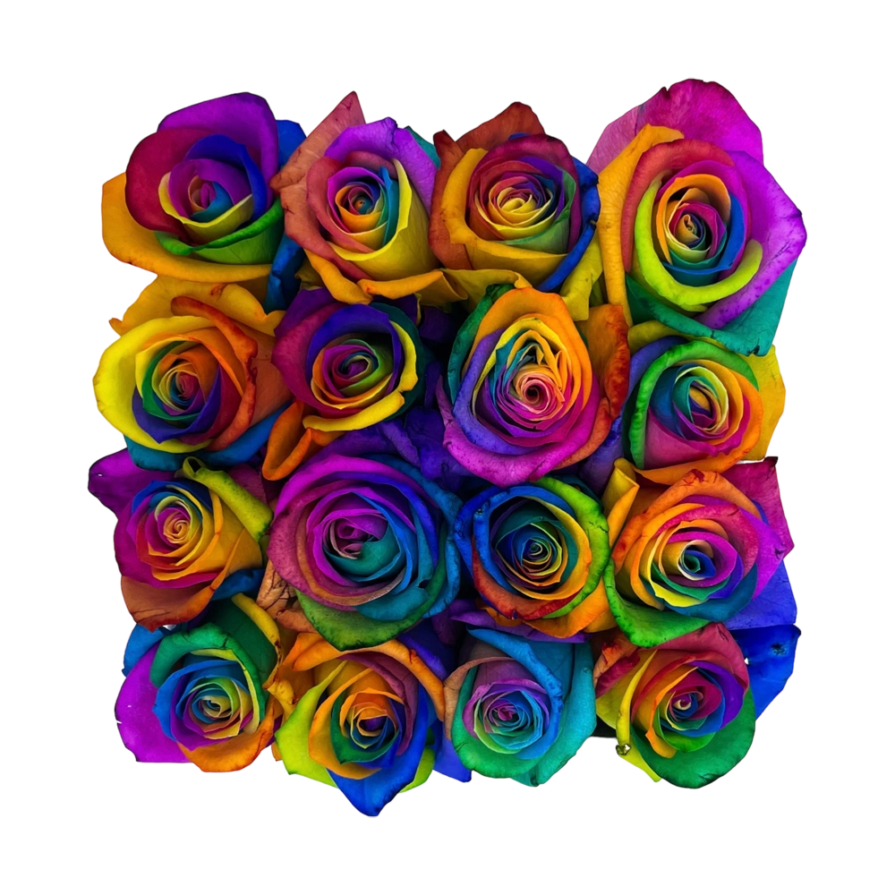 rainbow rozen in small square box bestellen bij maison flowers