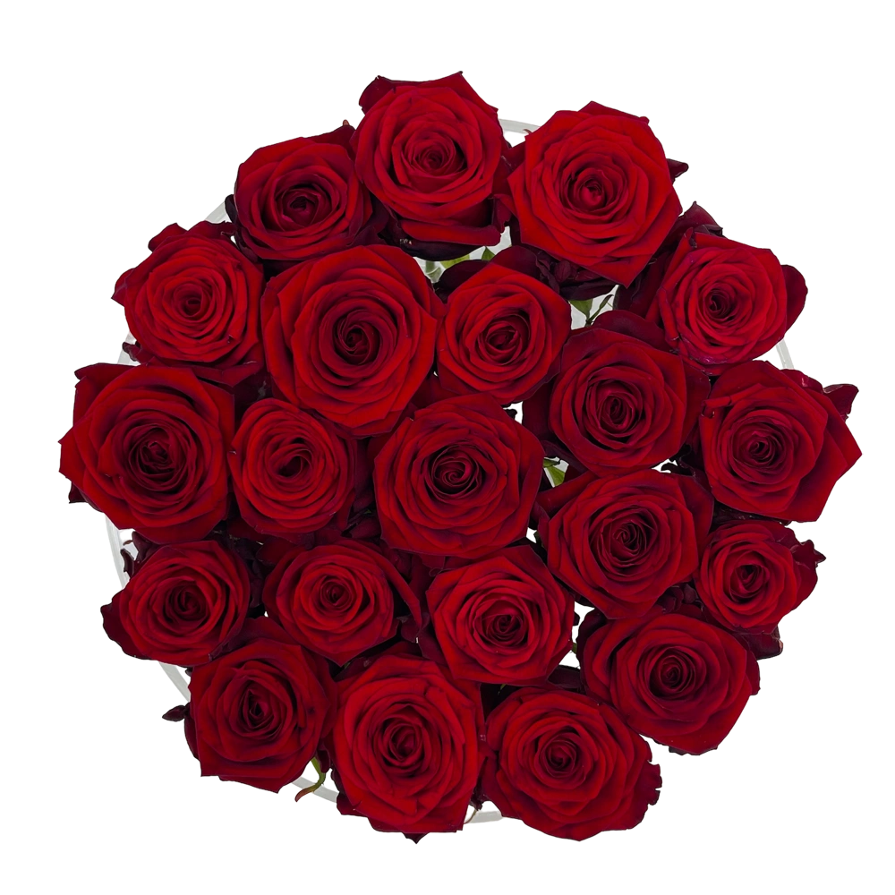 red round acrylic box 2 bestellen bij maison flowers