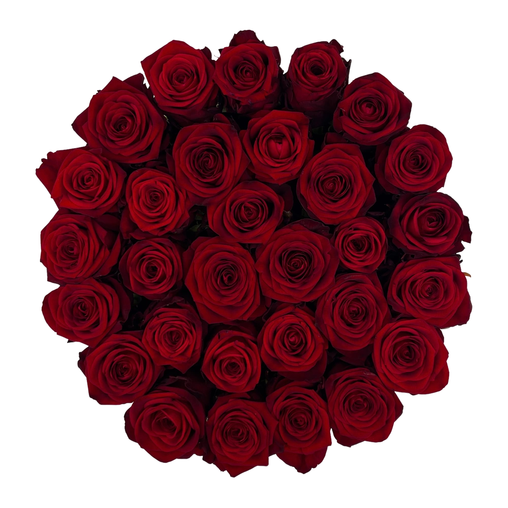 red rozen in large round box bestellen bij maison flowers