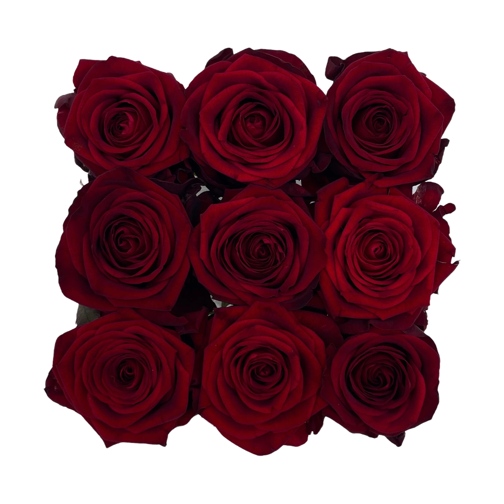 red rozen in small acrylic square box 2 bestellen bij maison flowers