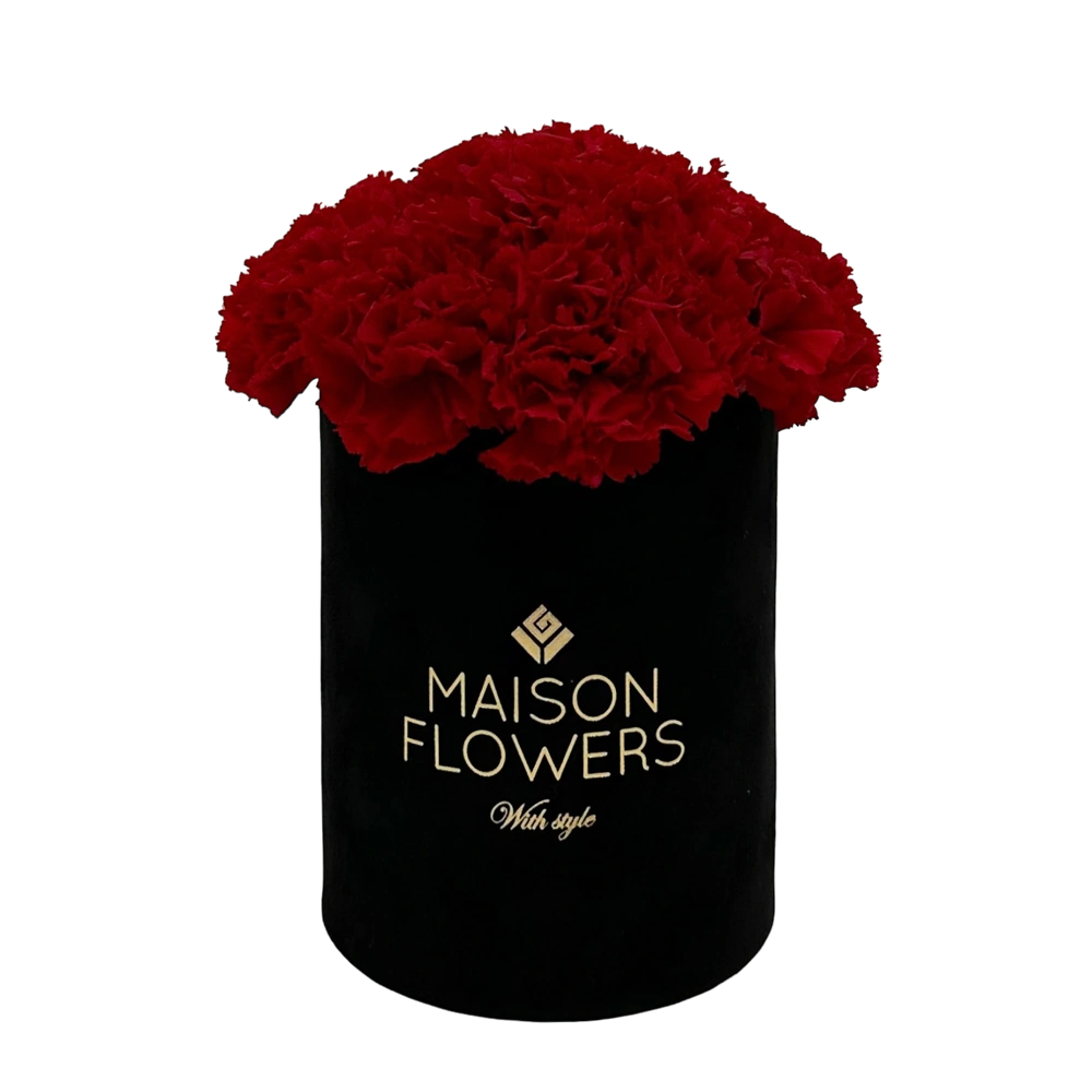 longlife anjers red carnation petite velvet round black box bestellen bij maison flowers