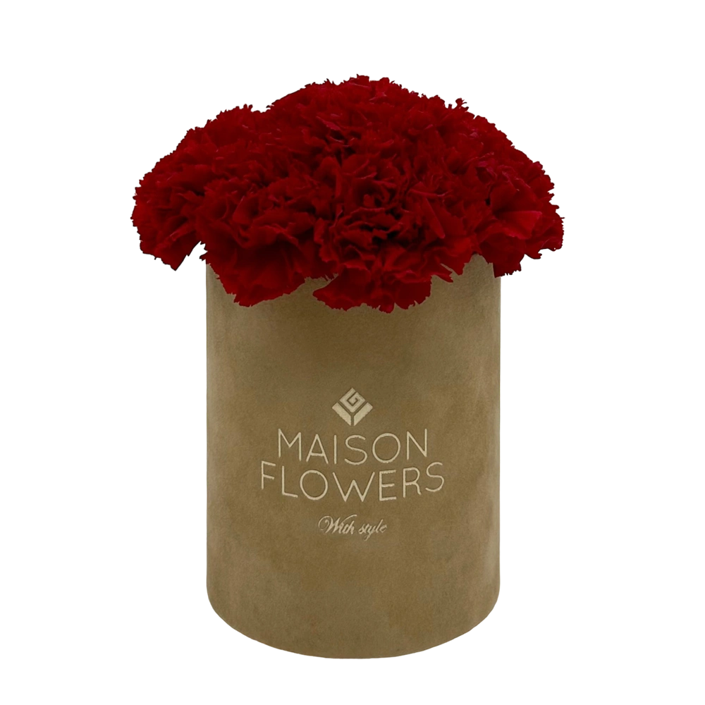 longlife anjers red carnation petite velvet round caramel box bestellen bij maison flowers