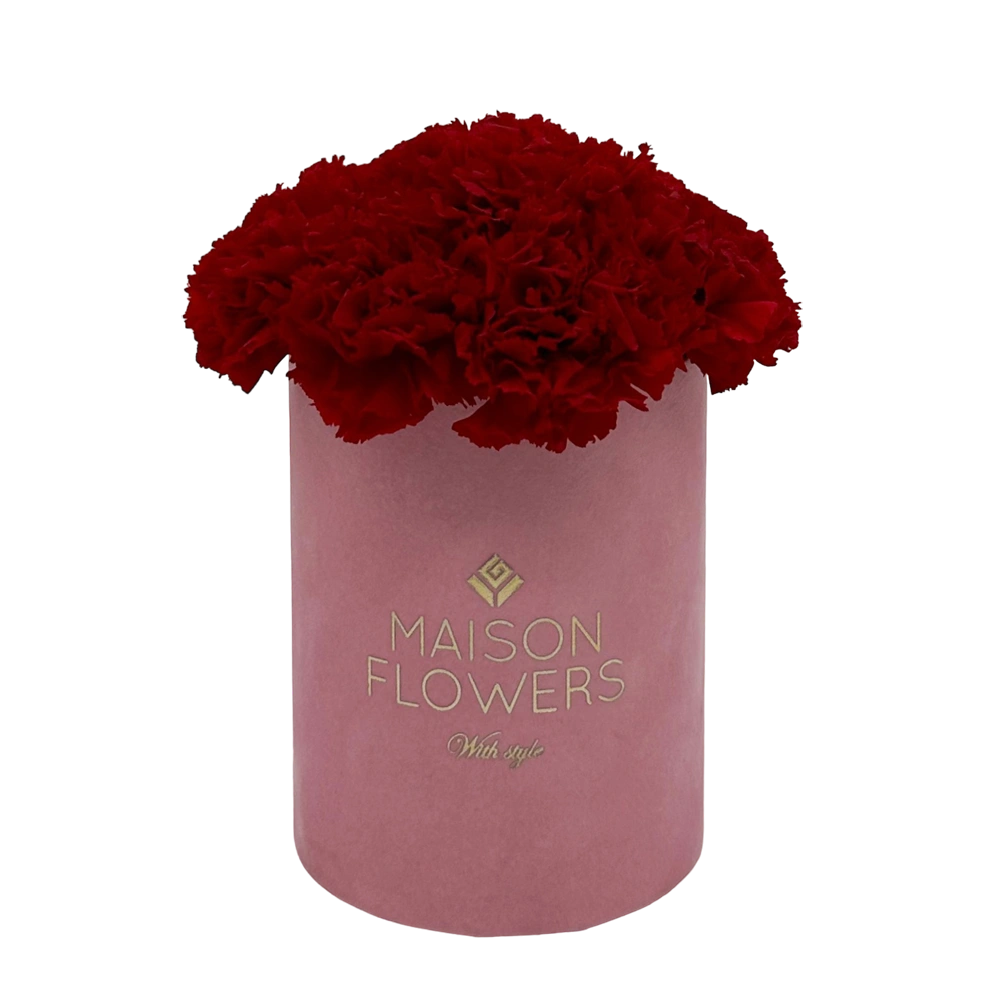 longlife anjers red carnation petite velvet round pink box bestellen bij maison flowers