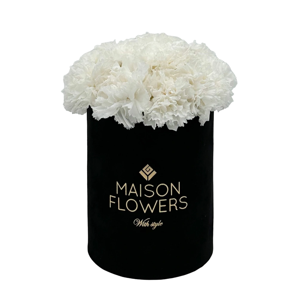 longlife anjers white carnation petite velvet round black box bestellen bij maison flowers