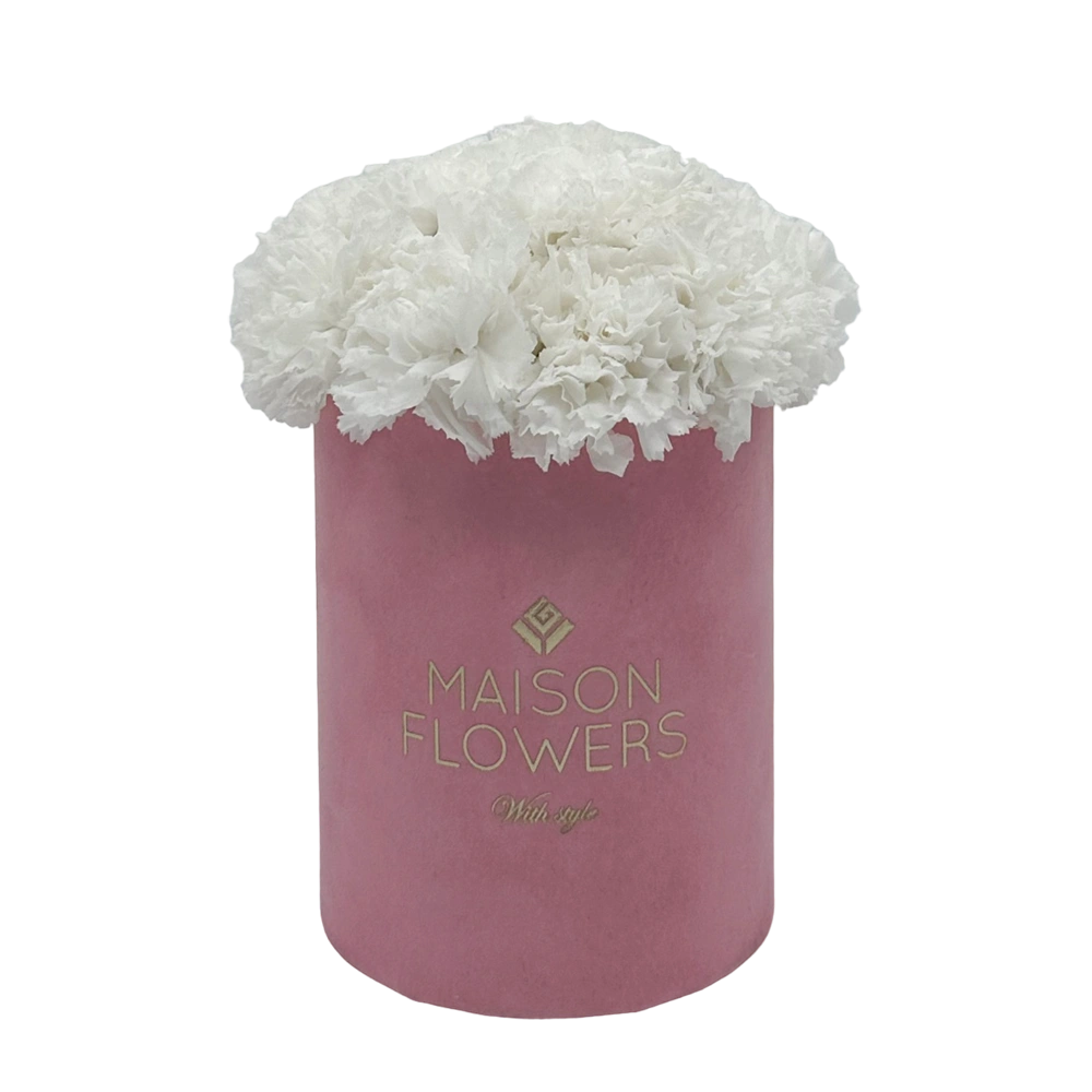 longlife anjers white carnation petite velvet round pink box bestellen bij maison flowers