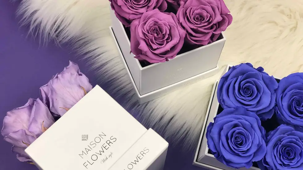maison flowers purple petite longlife flowerbox bestellen